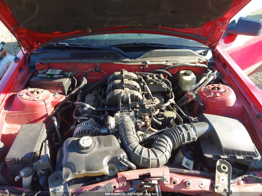 2006 Ford Mustang V6 VIN: 1ZVFT80N365163245 Lot: 43696275