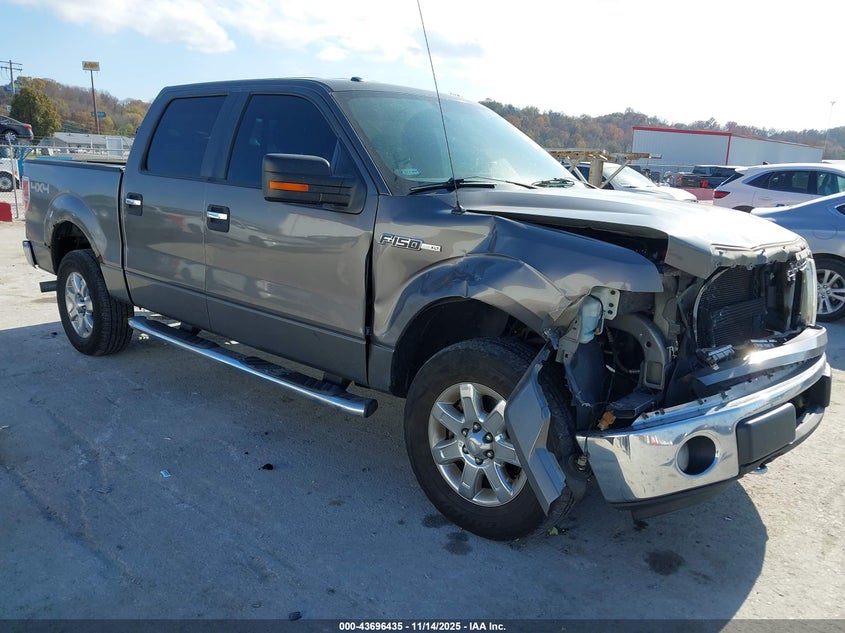 2013 FORD F-150 XLT - 1FTFW1EF3DKD16286