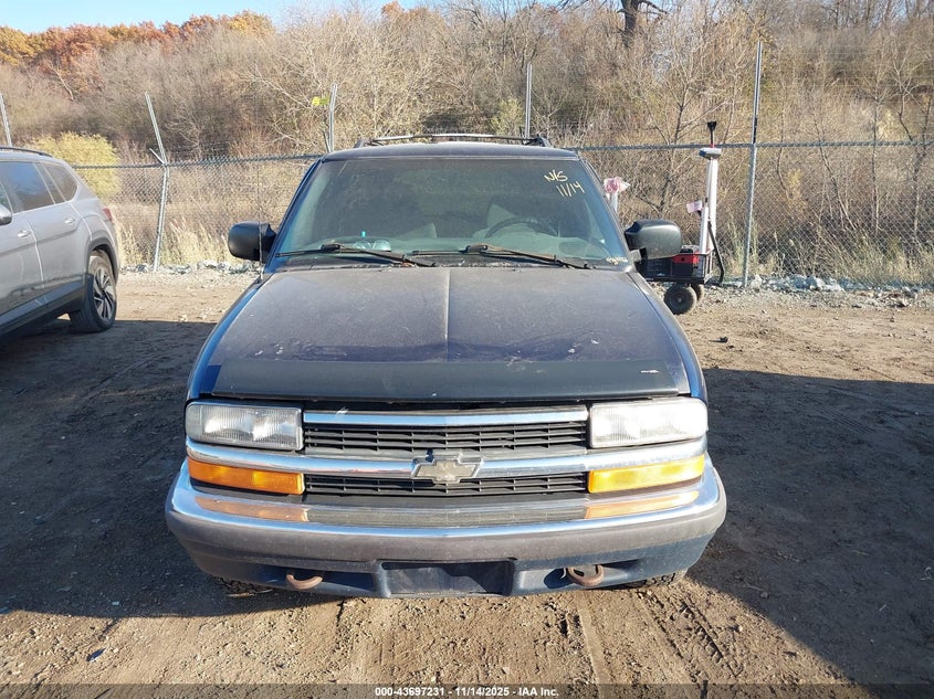 1GNDT13WXX2180740 1999 CHEVROLET BLAZER photo no. 12