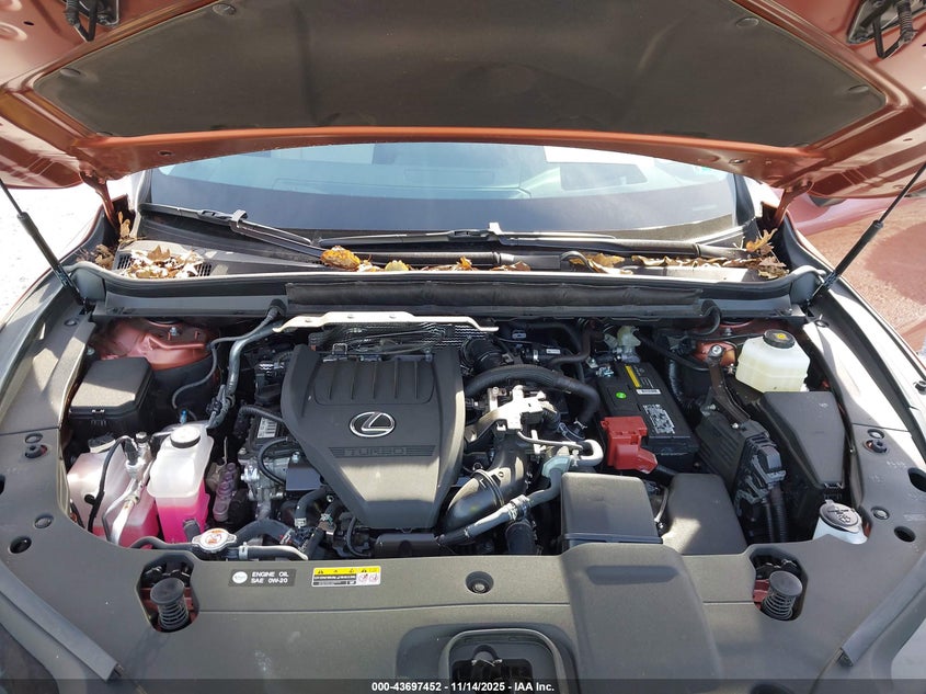 2T2BAMCA9RC078826 2024 LEXUS RX photo no. 10