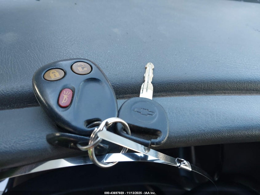 2003 Chevrolet Silverado 1500 Ls VIN: 2GCEC19T731137235 Lot: 43697659