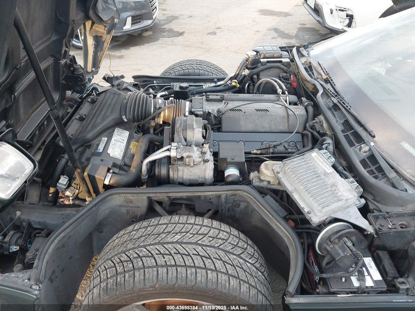 1996 Chevrolet Corvette VIN: 1G1YY22P1T5116843 Lot: 43698384