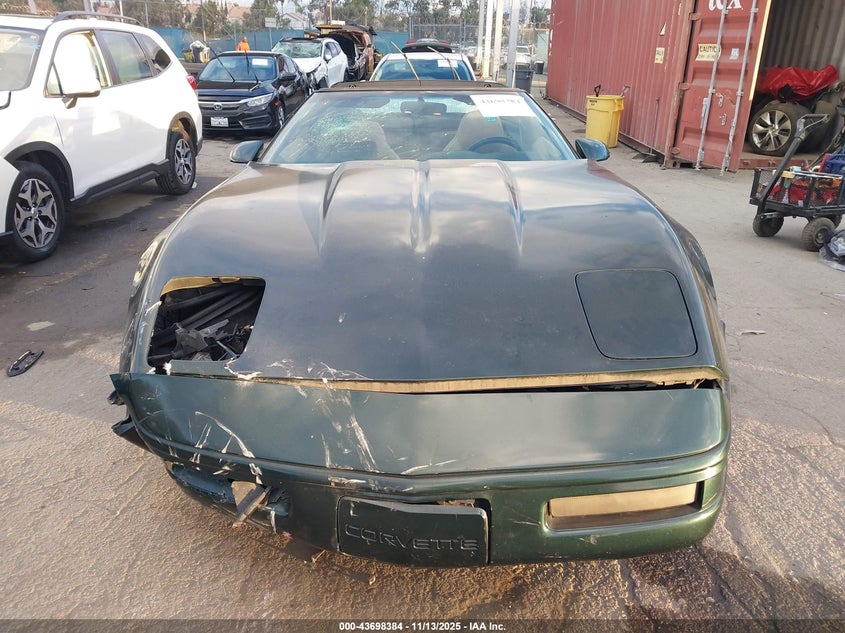 1996 Chevrolet Corvette VIN: 1G1YY22P1T5116843 Lot: 43698384