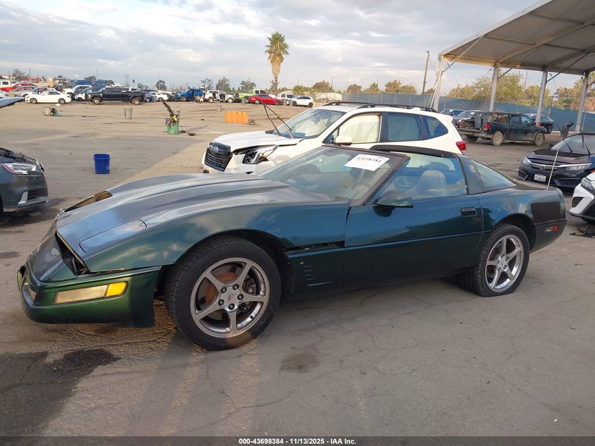 1996 Chevrolet Corvette VIN: 1G1YY22P1T5116843 Lot: 43698384