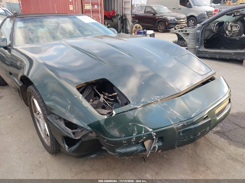 1996 Chevrolet Corvette VIN: 1G1YY22P1T5116843 Lot: 43698384
