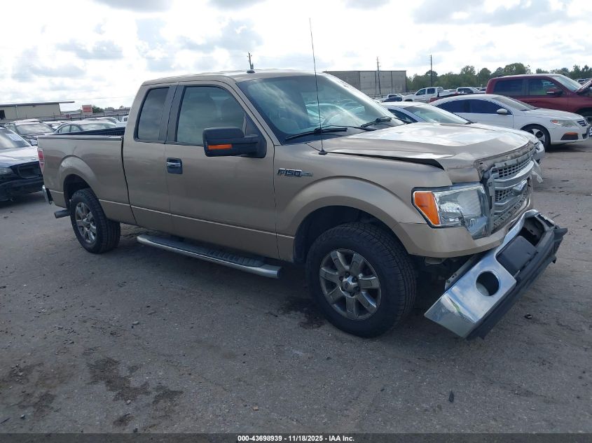 FORD F-150 XLT