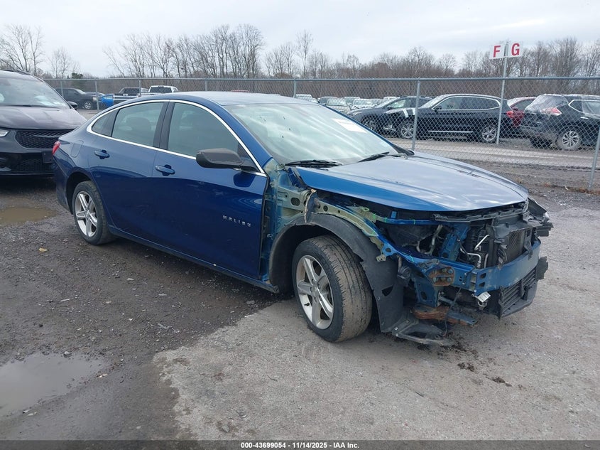 CHEVROLET MALIBU 1LS