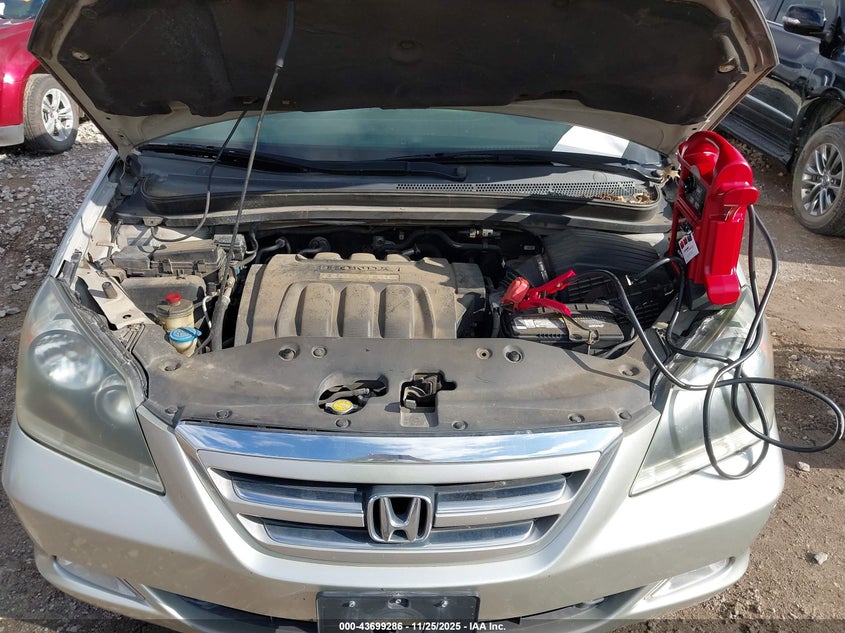 2006 Honda Odyssey Touring VIN: 5FNRL38886B103624 Lot: 43699286