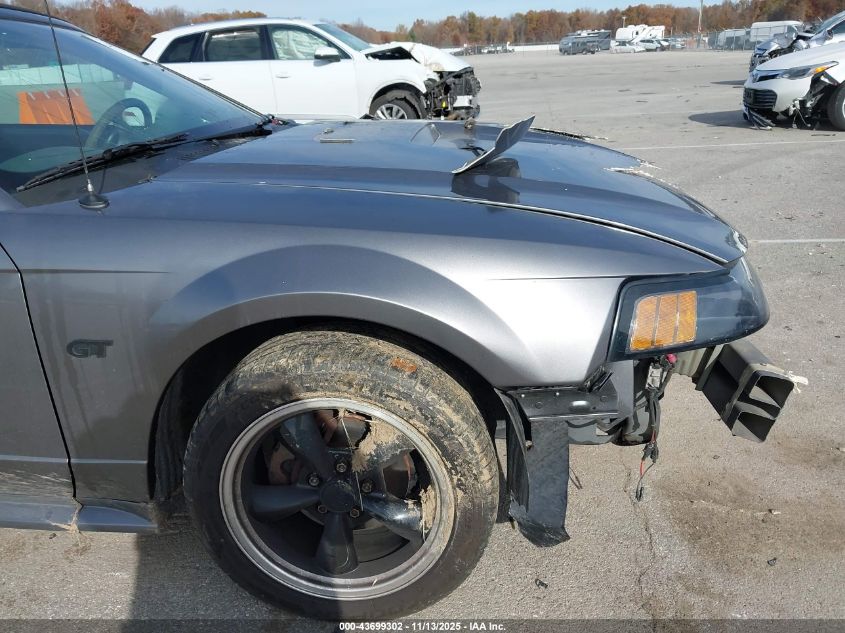 2003 Ford Mustang Gt VIN: 1FAFP45X03F310675 Lot: 43699302