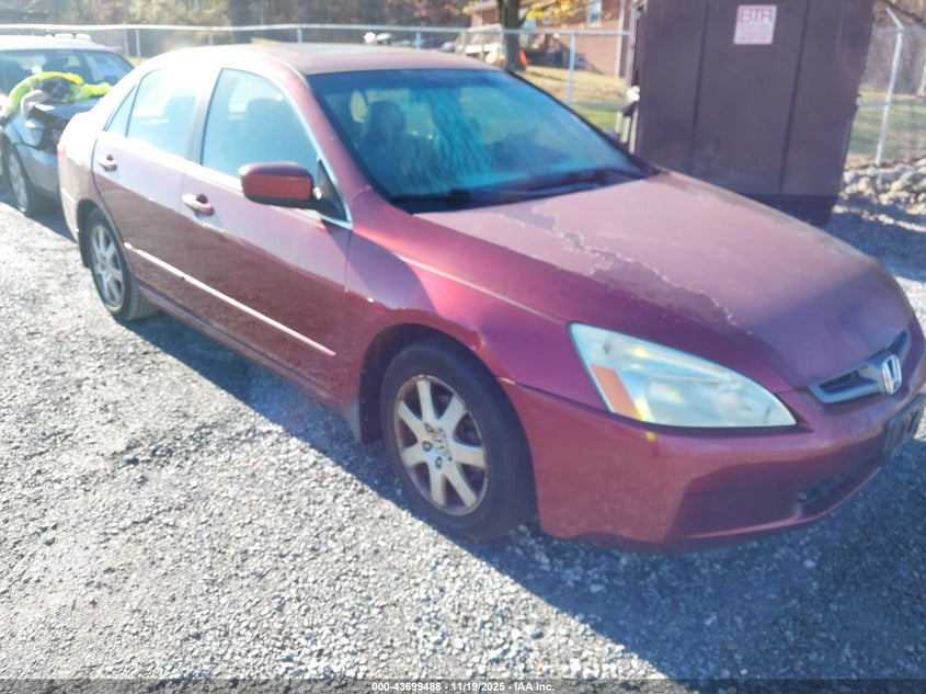 2005 Honda Accord 3.0 Ex VIN: 1HGCM66555A060477 Lot: 43699488