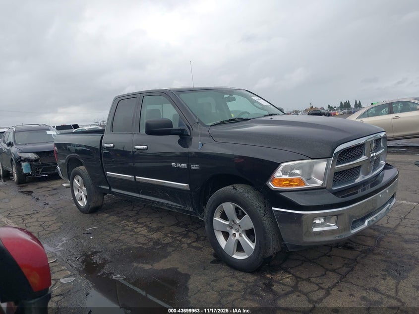 2009 Dodge Ram 1500 Slt/Sport/Trx VIN: 1D3HV18TX9S768554 Lot: 43699963