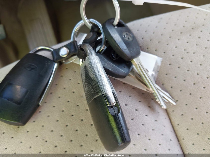 2007 Hyundai Entourage Gls/Limited/Se VIN: KNDMC233776021865 Lot: 43699981