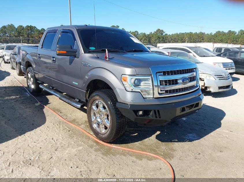 FORD F-150 XLT