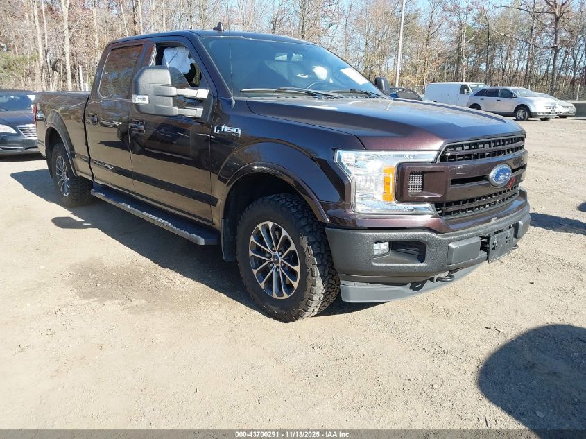 FORD F-150 XLT