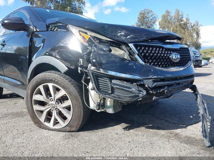 2014 Kia Sportage Lx VIN: KNDPB3AC0E7616993 Lot: 43700454