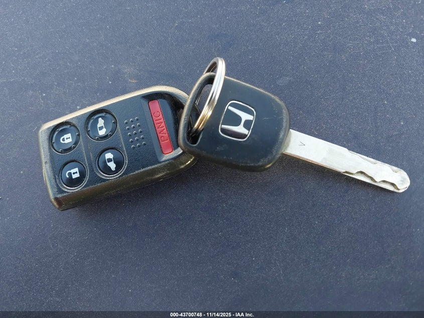 2007 Honda Odyssey Ex-L VIN: 5FNRL38787B118987 Lot: 43700748