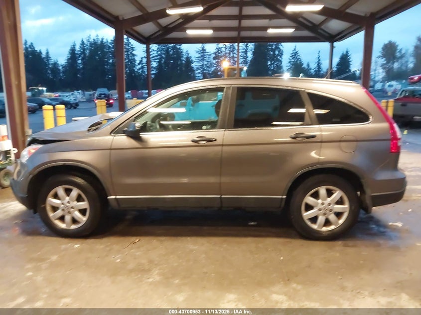 2009 Honda Cr-V Ex VIN: 5J6RE48529L054390 Lot: 43700953