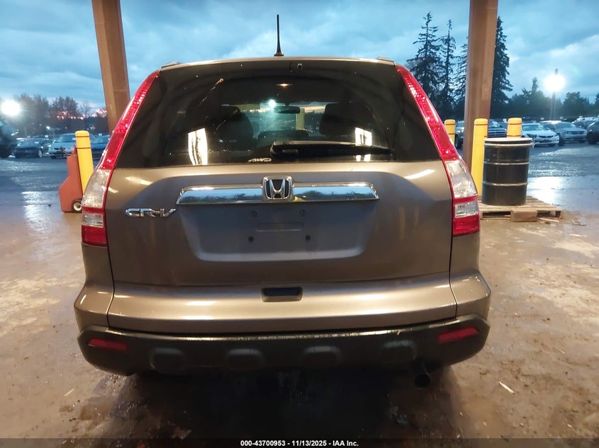 2009 Honda Cr-V Ex VIN: 5J6RE48529L054390 Lot: 43700953