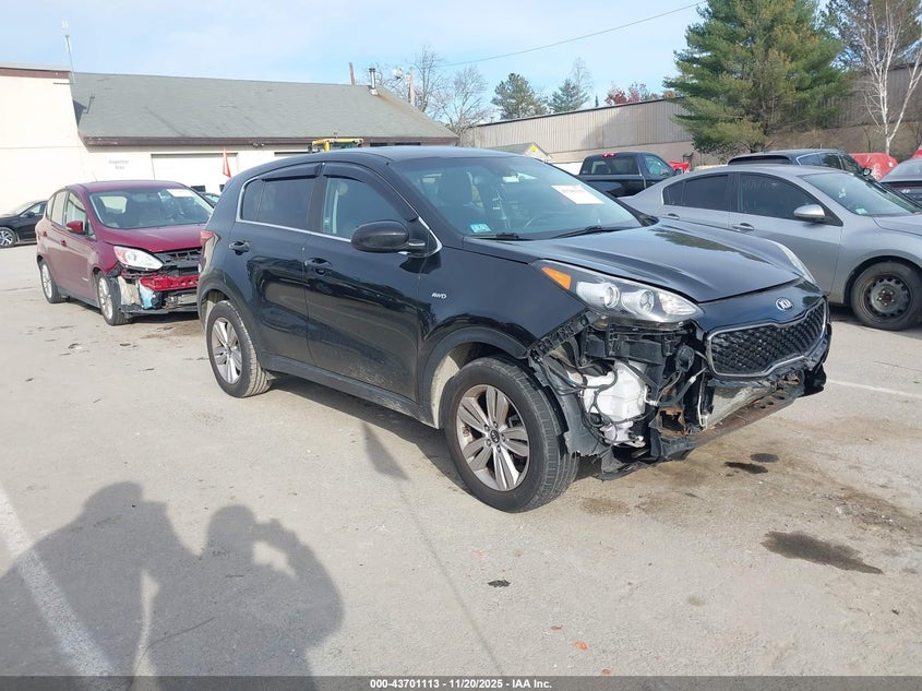 2017 Kia Sportage Lx VIN: KNDPMCAC1H7179293 Lot: 43701113