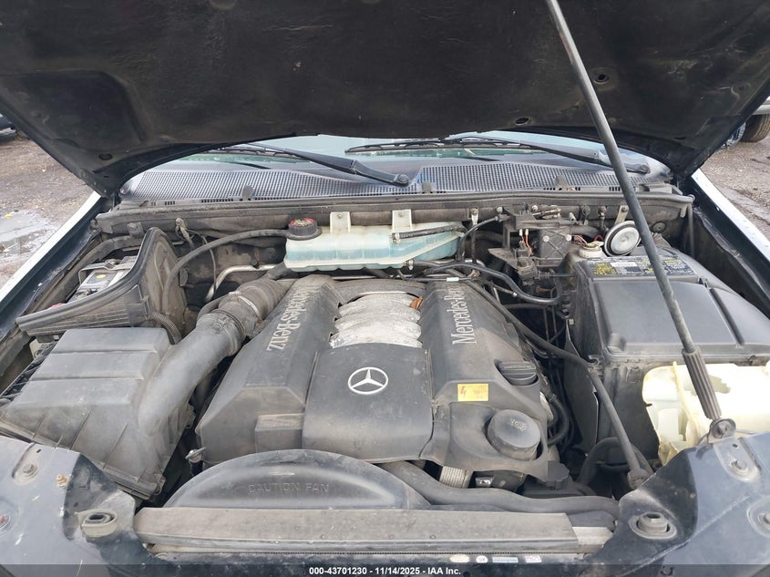 1999 Mercedes-Benz Ml 430 VIN: 4JGAB72E0XA125841 Lot: 43701230