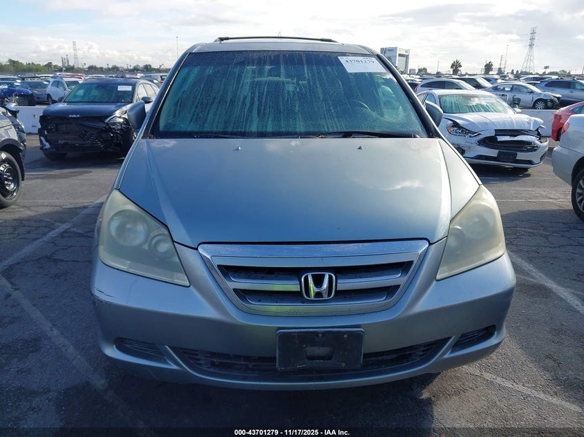 2005 Honda Odyssey Ex-L VIN: 5FNRL387X5B128434 Lot: 43701279