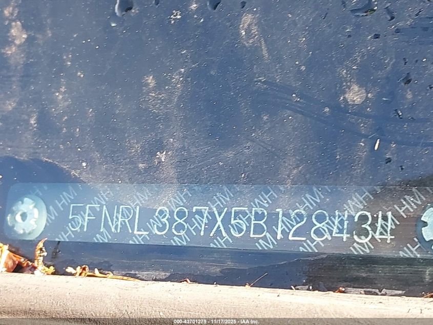 2005 Honda Odyssey Ex-L VIN: 5FNRL387X5B128434 Lot: 43701279