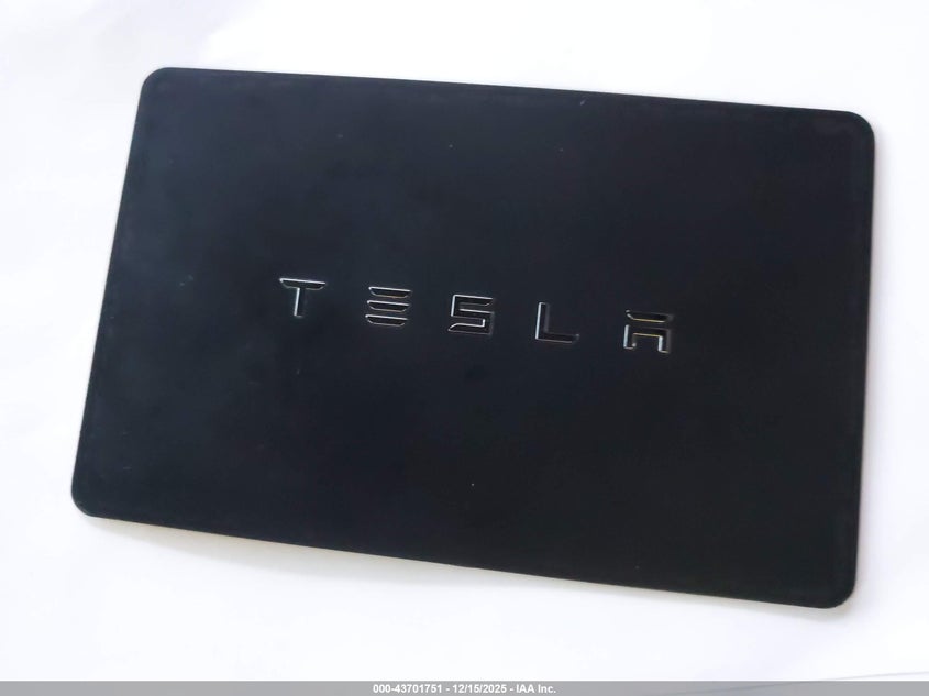 VIN 5YJ3E1EB9KF393208 2019 TESLA MODEL 3 LONG RANGE/PERFORMANCE