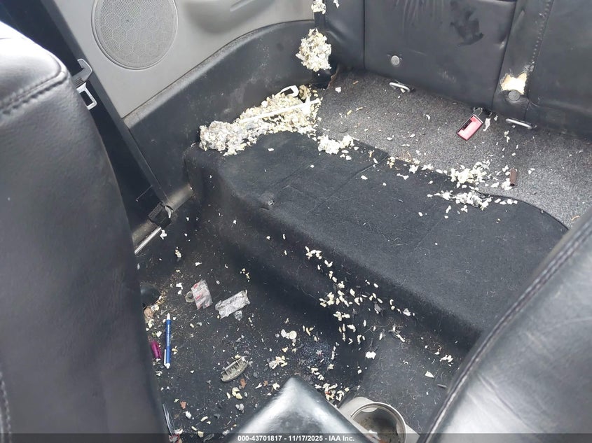 2002 Volkswagen New Beetle Sport VIN: 3VWED21C82M448160 Lot: 43701817