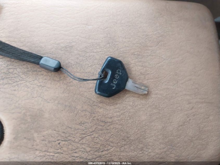 1998 Jeep Wrangler Sahara VIN: 1J4FY49S1WP744005 Lot: 43702019