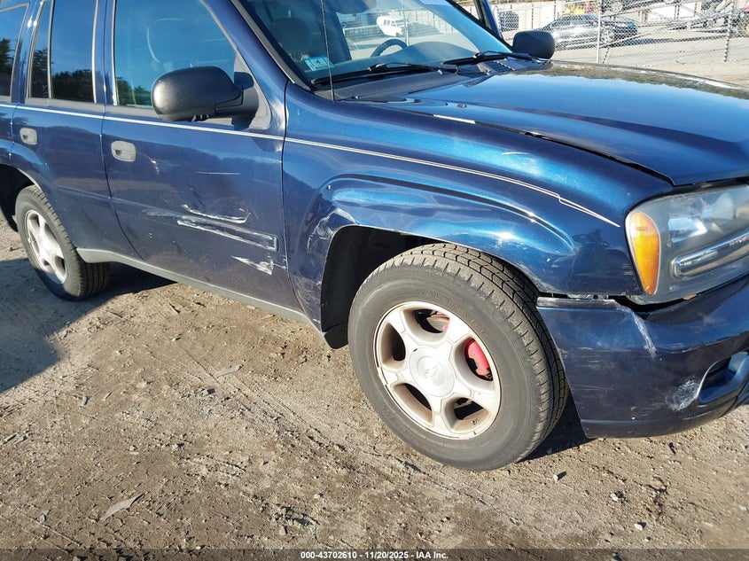 2008 Chevrolet Trailblazer Fleet VIN: 1GNDT13S682205583 Lot: 43702610