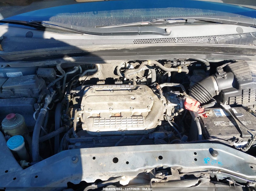 2007 Honda Odyssey Ex VIN: 5FNRL38467B036519 Lot: 43702862