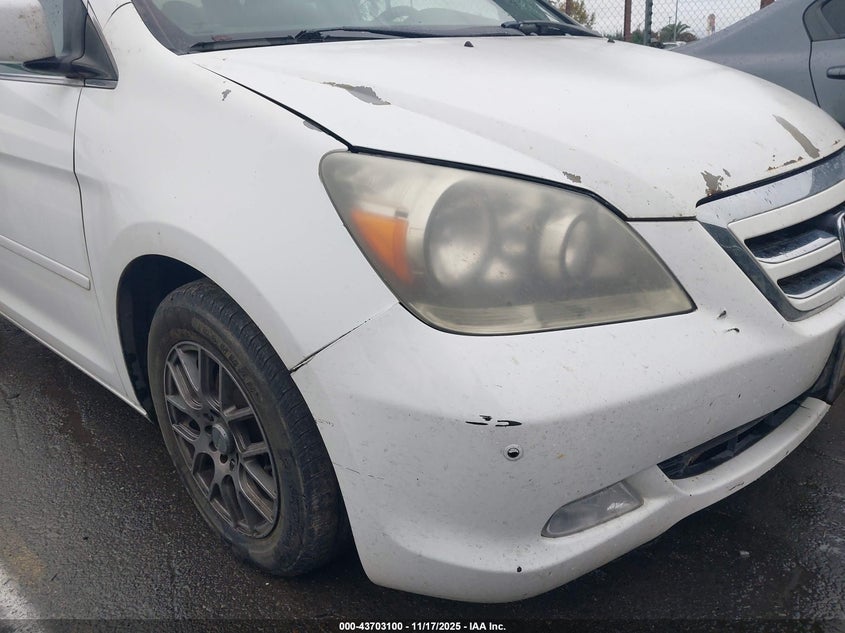 2007 Honda Odyssey Touring VIN: 5FNRL38837B059971 Lot: 43703100