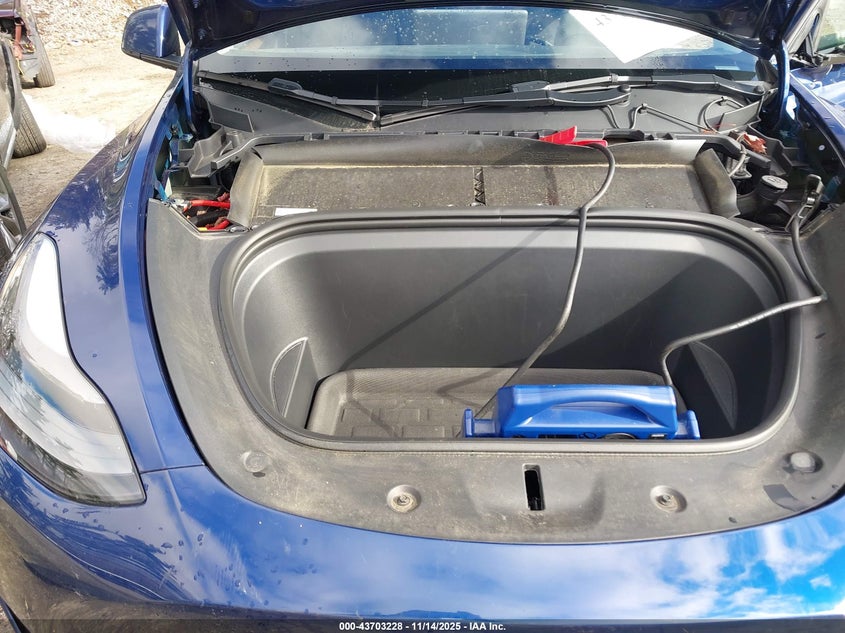 2023 Tesla Model Y Rwd VIN: 7SAYGDED9PF931970 Lot: 43703228