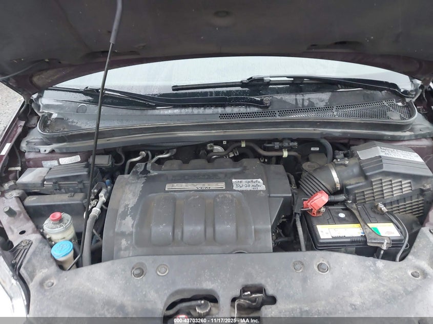 2007 Honda Odyssey Ex-L VIN: 5FNRL38787B462481 Lot: 43703260