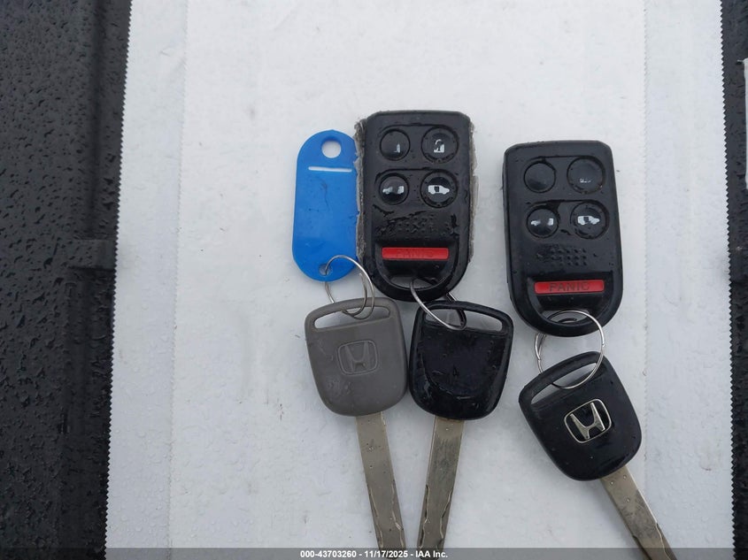 2007 Honda Odyssey Ex-L VIN: 5FNRL38787B462481 Lot: 43703260