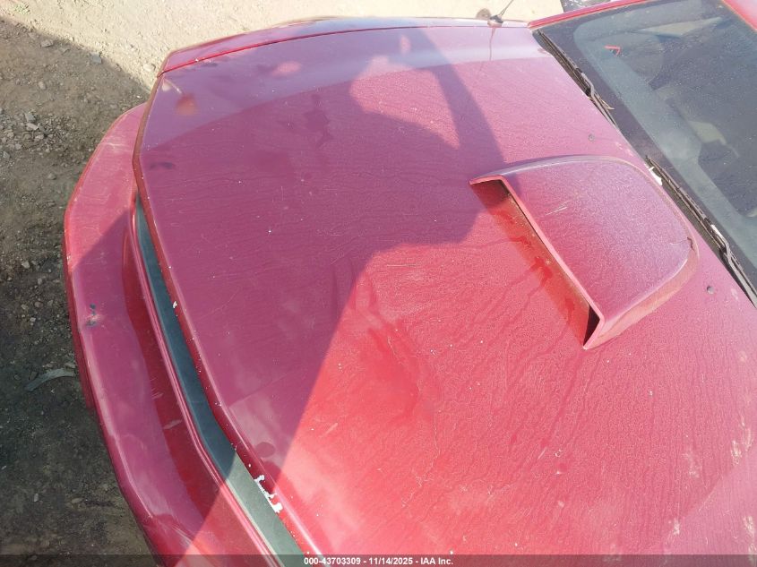 2007 Ford Mustang V6 Deluxe/V6 Premium VIN: 1ZVFT80N875333293 Lot: 43703309