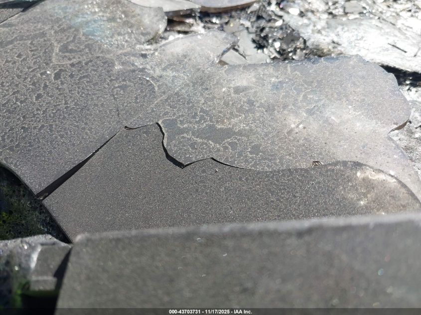 2024 Tesla Cybertruck All-Wheel Drive VIN: 7G2CEHED9RA048890 Lot: 43703731