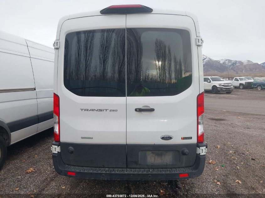 2019 Ford Transit-250 VIN: 1FTYR2CGXKKA19076 Lot: 43703872