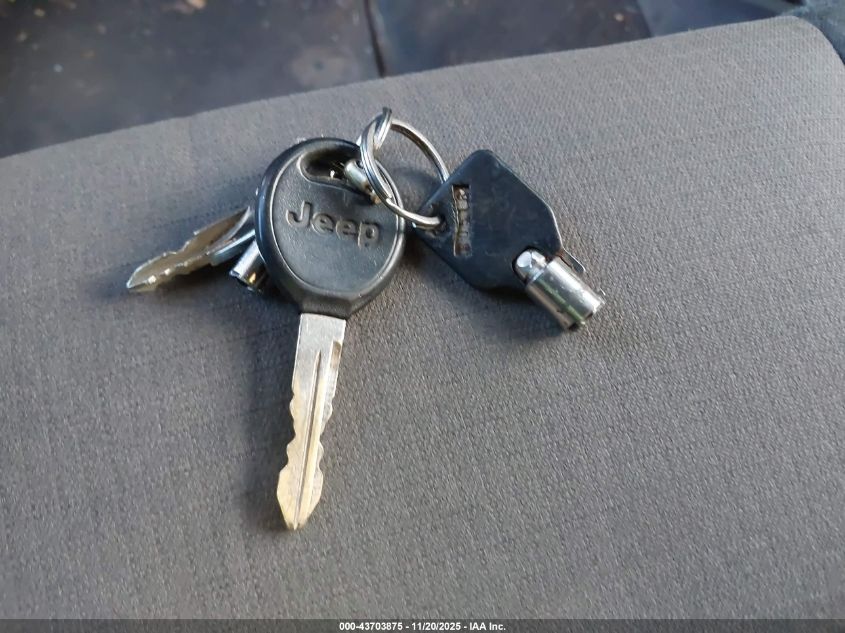 2006 Jeep Wrangler X VIN: 1J4FA39S06P734371 Lot: 43703875