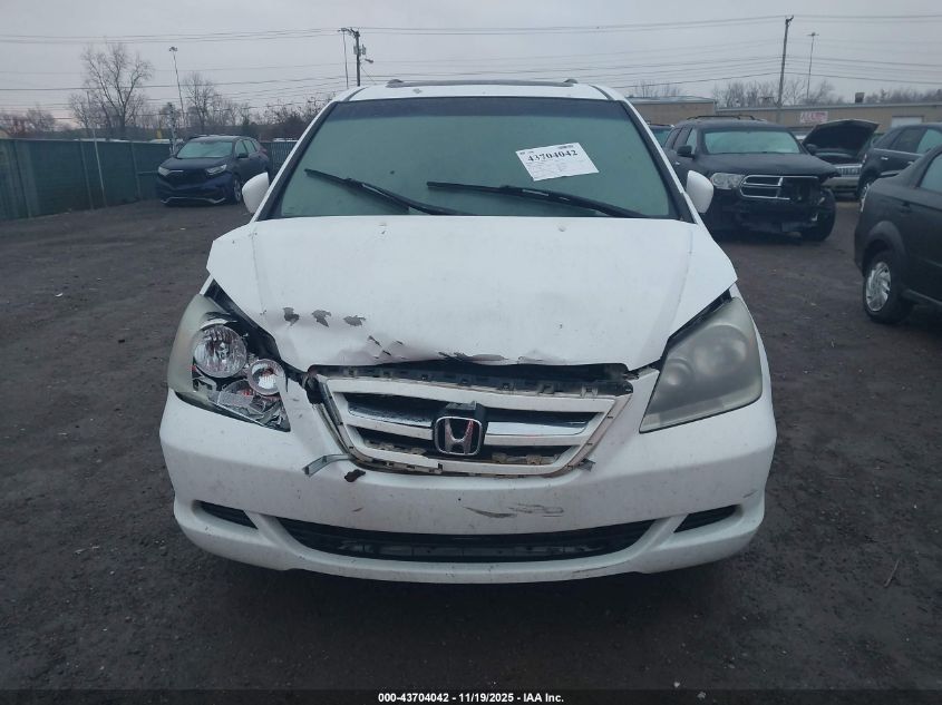 2005 Honda Odyssey Ex-L VIN: 5FNRL38655B411556 Lot: 43704042