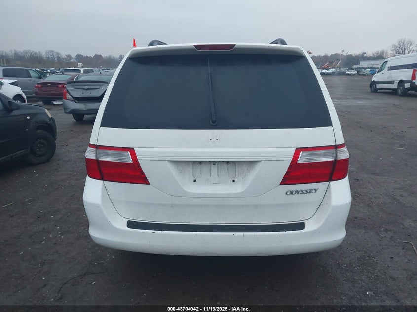 2005 Honda Odyssey Ex-L VIN: 5FNRL38655B411556 Lot: 43704042