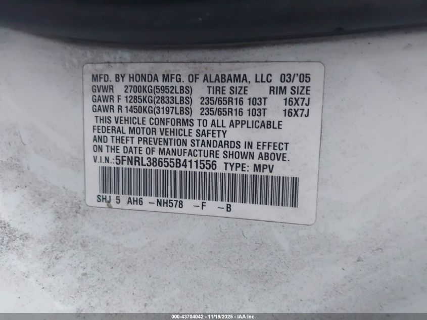 2005 Honda Odyssey Ex-L VIN: 5FNRL38655B411556 Lot: 43704042