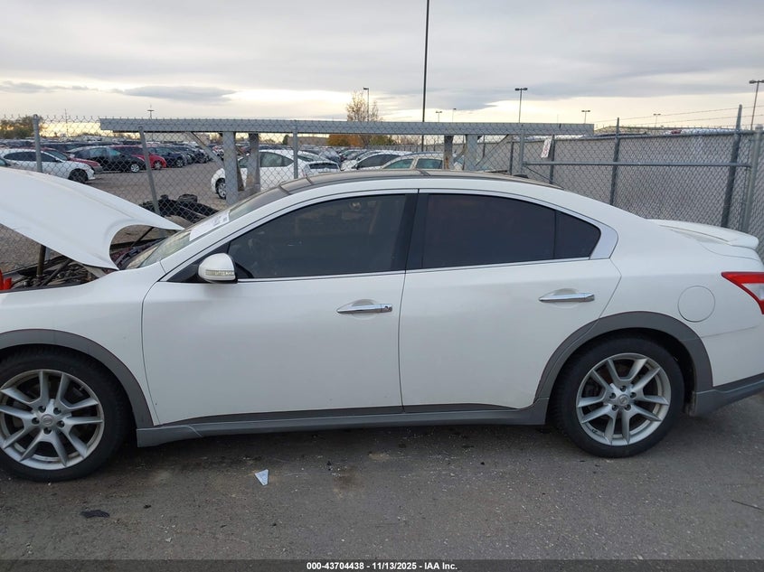 2010 Nissan Maxima 3.5 Sv VIN: 1N4AA5APXAC846815 Lot: 43704438