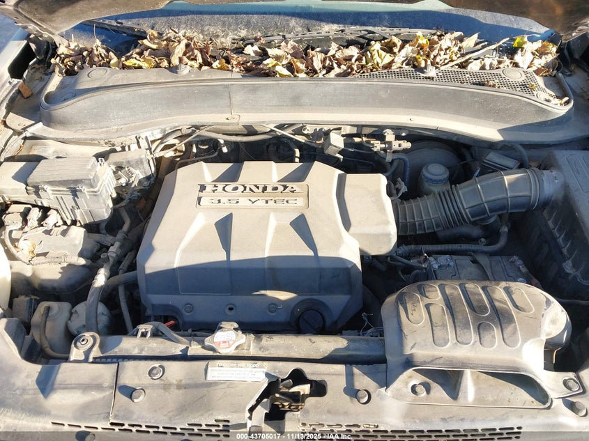 2006 Honda Ridgeline Rtl VIN: 2HJYK16586H504981 Lot: 43705017