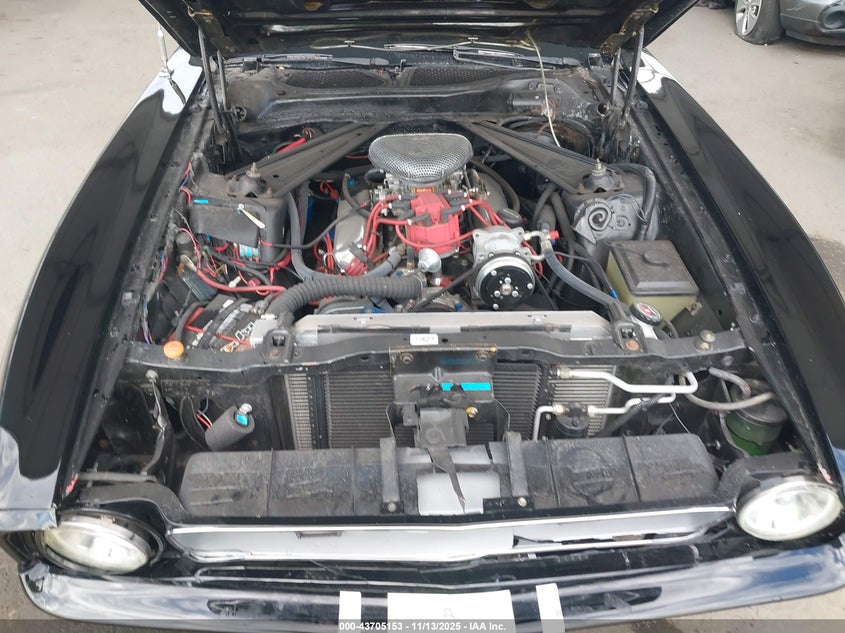 1971 Ford Mustang VIN: 0000001F01F136026 Lot: 43705153