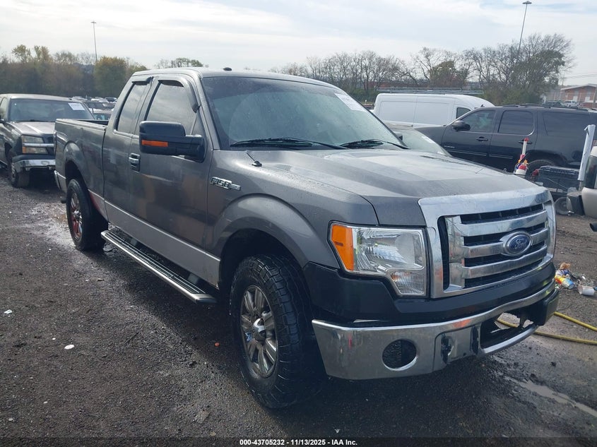 FORD F-150 XLT