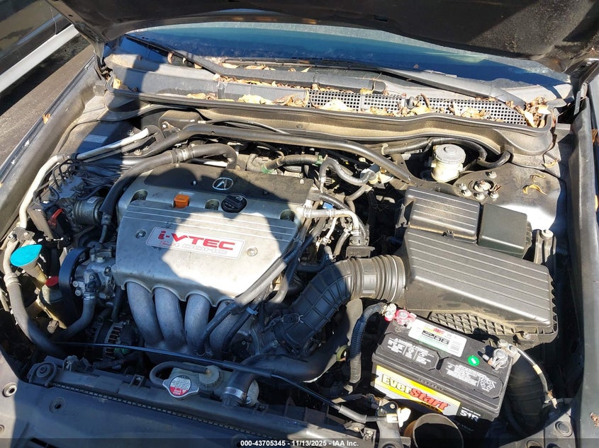 2006 Acura Tsx VIN: JH4CL96936C037998 Lot: 43705345