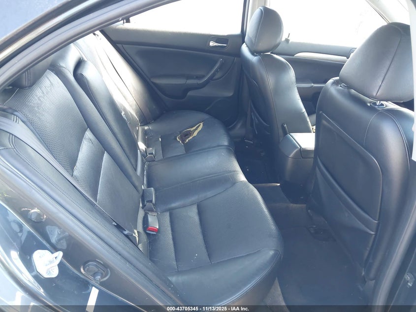 2006 Acura Tsx VIN: JH4CL96936C037998 Lot: 43705345