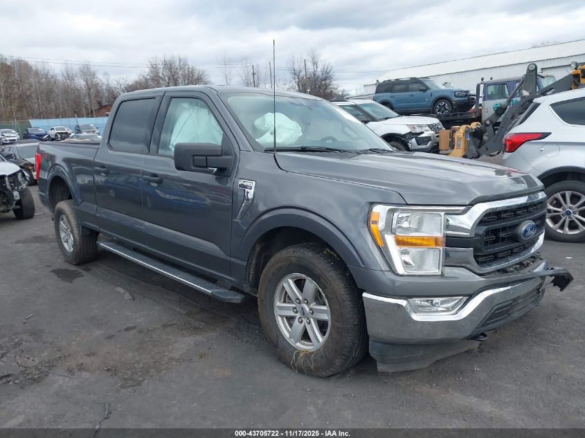 FORD F-150 XLT