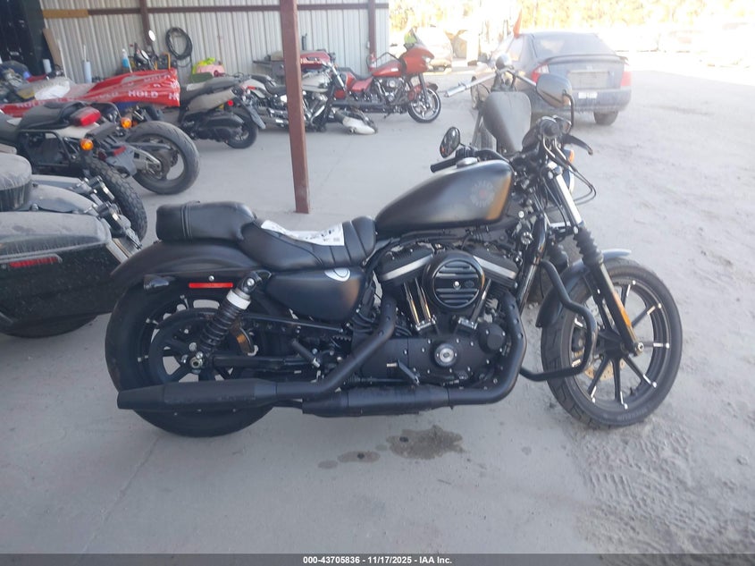 2021 Harley-Davidson Xl883 N VIN: 1HD4LE212MB417785 Lot: 43705836